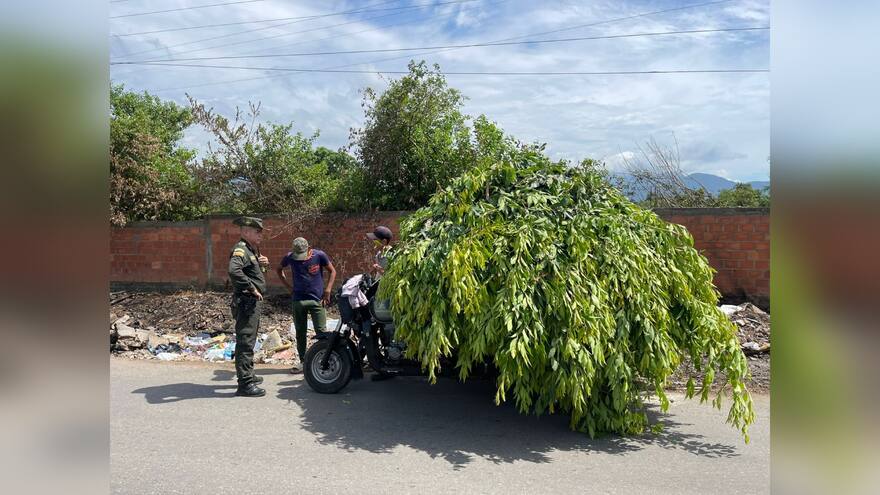 Valledupar: Imponen comparendos por arrojar podas y escombros en lugares prohibidos