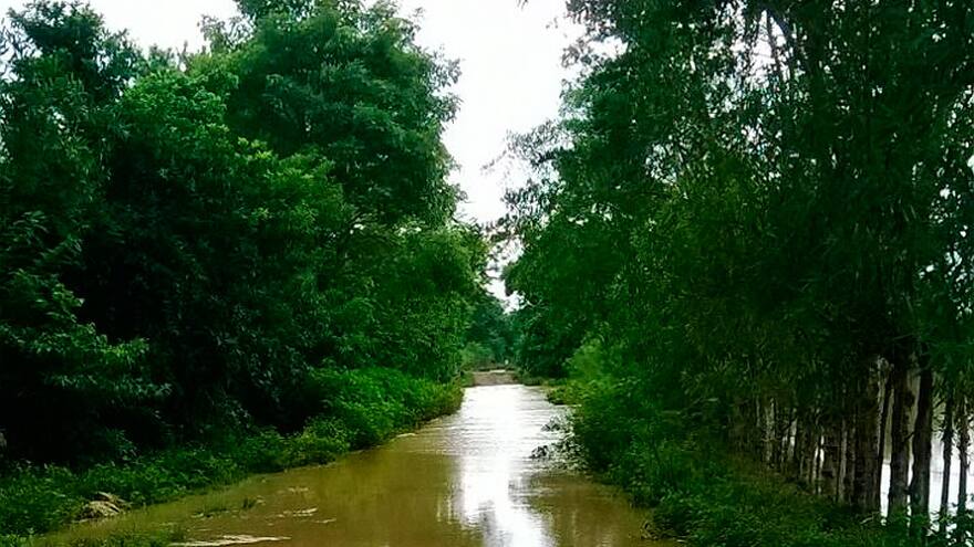 Se desborda el río Mangle entre San Pelayo y Puerto Escondido, en Córdoba