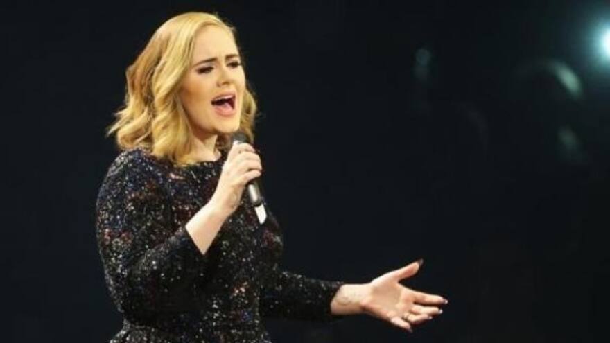 Adele defendió a un fanático latino que fue agredido por guarda de seguridad en un concierto