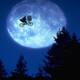 E.T, el extraterrestre: 40 años de irse a casa