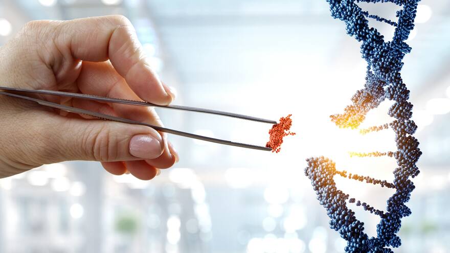 Mujeres y ciencia, desigualdad preocupante