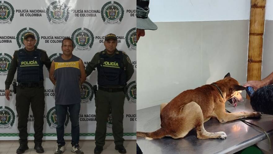 Hombre fue capturado por maltrato animal luego de golpear a un perro en Valledupar, Cesar