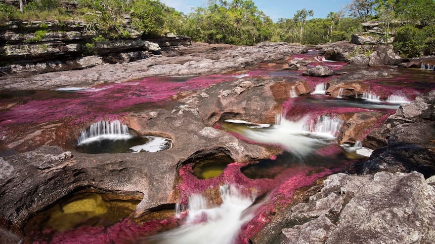 A partir del 22 de noviembre se prohíbe ingreso a Caño Cristales: Parques Nacionales