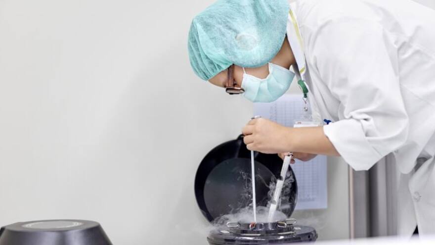 Congelación de óvulos: un tesoro de la fertilidad