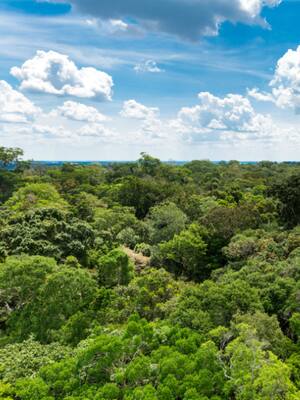 Espaldas de la Amazonía | Columna de Simón Gaviria