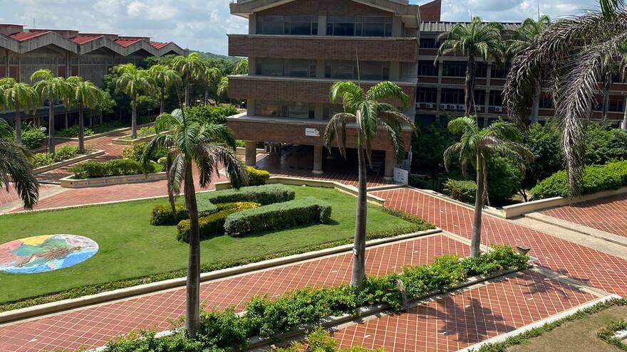 Consulta en UA para preseleccionar 5 candidatos a rectoría