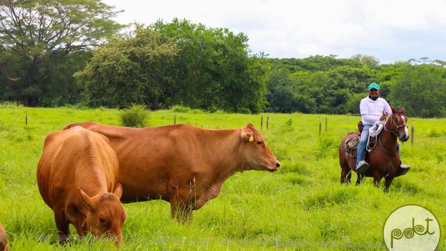 Territorios Pdet, rayos de esperanza que empiezan a brillar en Córdoba