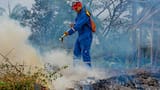 Alerta roja por riesgo de incendios en la cobertura vegetal en diez municipios de La Guajira