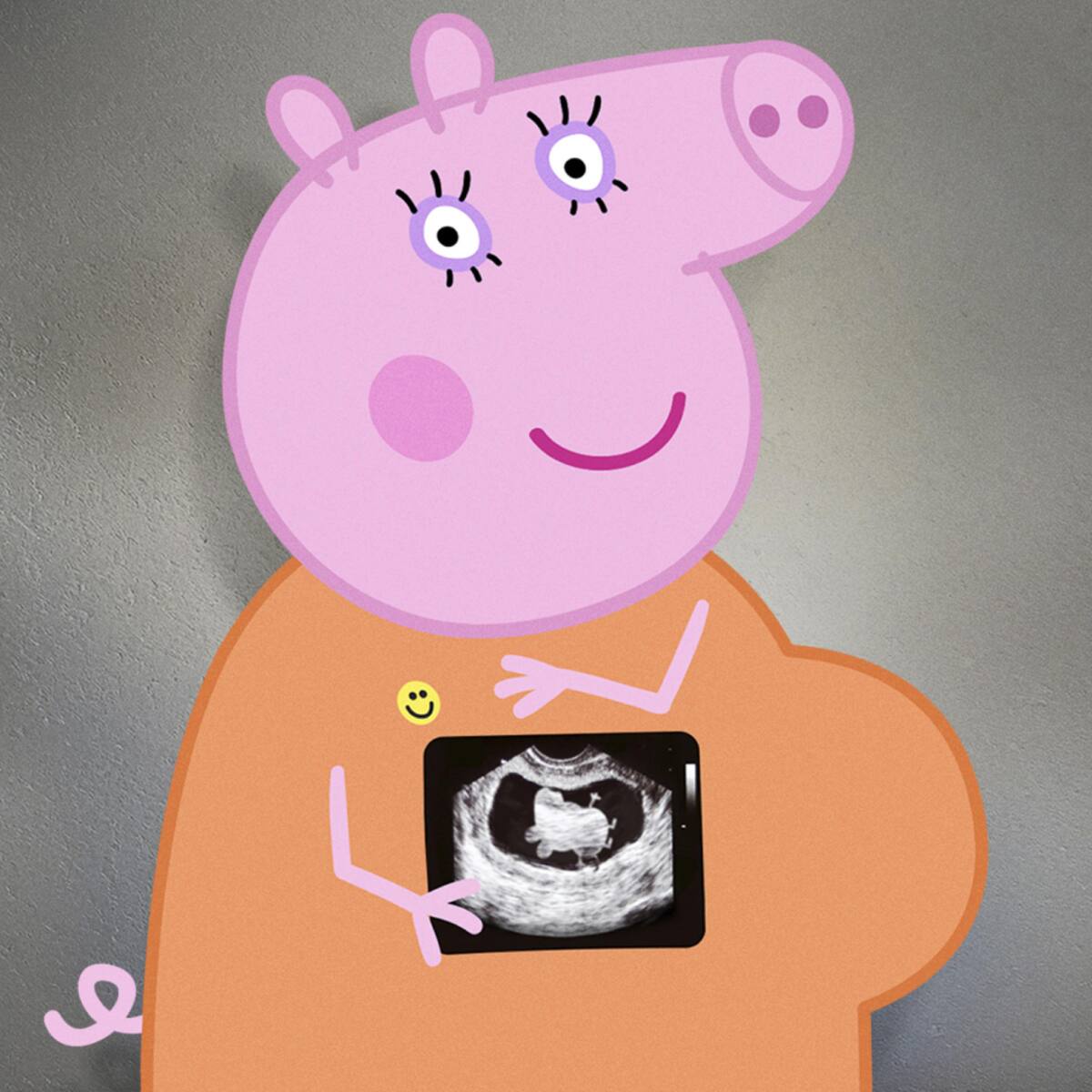 Peppa Pig tendrá un nuevo hermano: su mamá está embarazada - ELHERALDO.CO