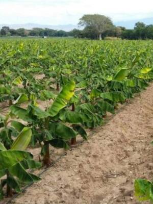 El Dogma Nacional: Un “acuerdo sobre lo fundamental” | Columna deJosé Félix Lafaurie