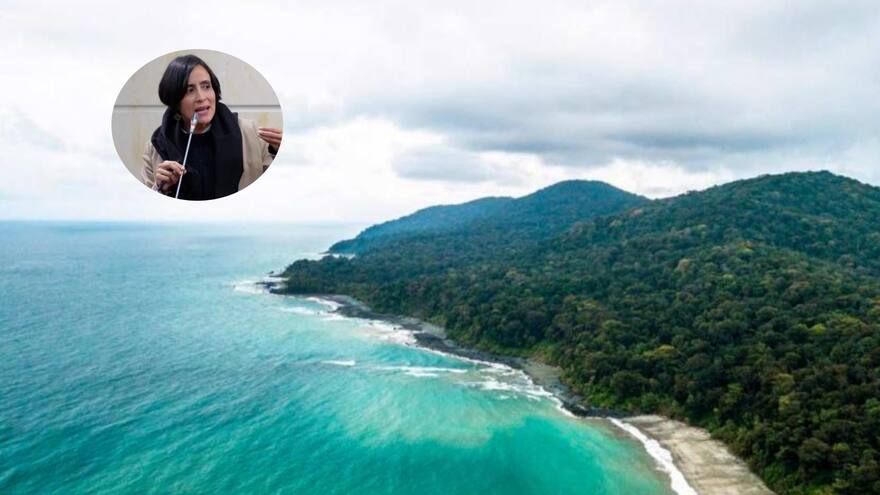 Minambiente reitera que el muelle que se construirá en Gorgona no es militar