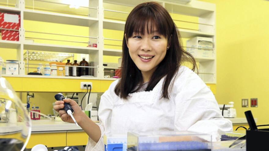 Estudio japonés sobre células madre contenía partes fraudulentas