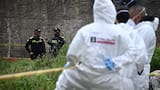Masacre en el Cauca: asesinan a cinco personas en Corinto, entre ellas estaría una menor de edad