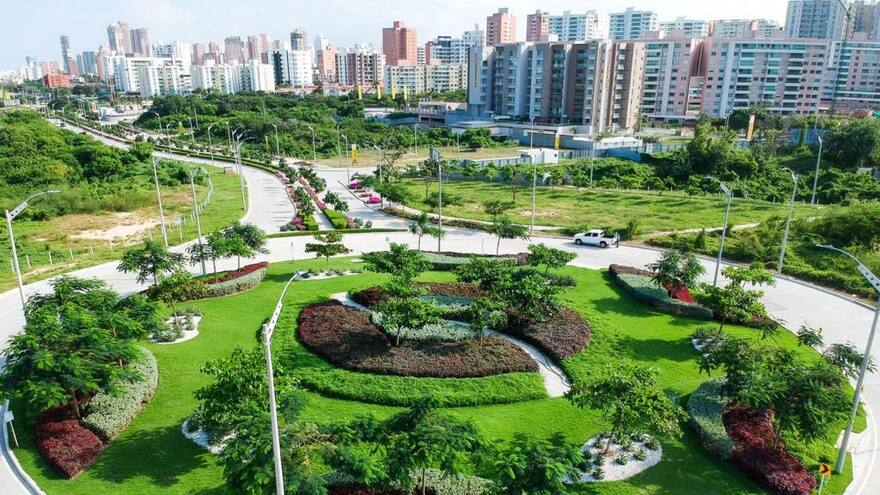 Editorial | El que a buen árbol se arrima, buena sombra lo cobija