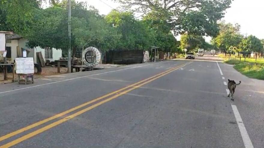 Campesinos desbloquearon las vías en el Cesar