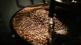 Estados Unidos reduce aranceles al café, plátano y otros productos agrícolas