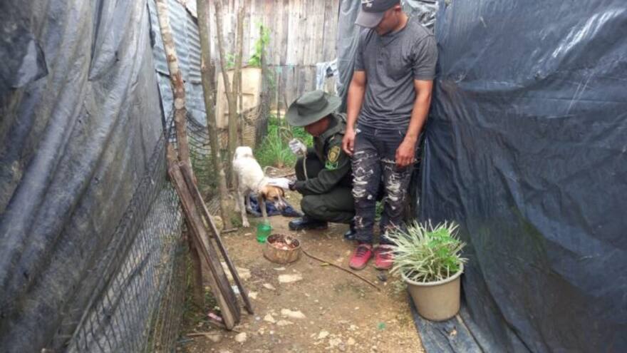 En Bolívar: Hombre atacó a machetazos a un perro en Bolívar