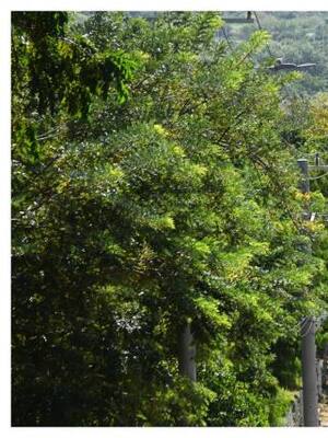 Los parques de Argos