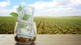 Finagro y Banco Agrario: crédito en crisis