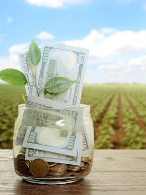 Finagro y Banco Agrario: crédito en crisis