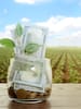 Finagro y Banco Agrario: crédito en crisis