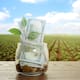 Finagro y Banco Agrario: crédito en crisis