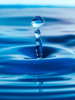 Generadores hidráulicos NO están “botando agua” | Columna de Natalia Gutiérrez