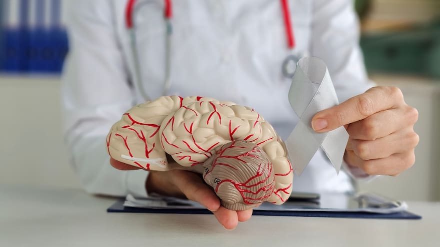 Conozca cómo la vitamina B12 mejora la memoria, el metabolismo y el estado de ánimo: estos son los alimentos en la puede conseguirla