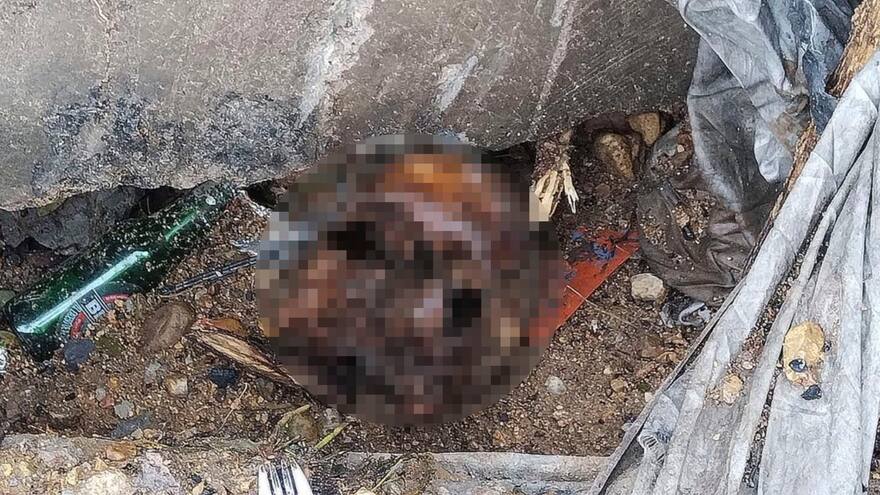 Hallan un cráneo en antiguo lote Idema en Valledupar