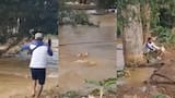 Video: joven arriesgó su vida para salvar a un perrito arrastrado por una corriente en Córdoba