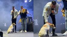 Video: Un perro se subió a la tarima durante concierto de Diego Daza en Barranquilla y se robó el show