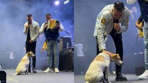 Video: Un perro se subió a la tarima durante concierto de Diego Daza en Barranquilla y se robó el show