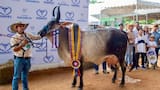 Cartagena es la ciudad invitada a la Feria Nacional de la Ganadería 2026