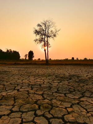 ¡El niño no es un juego! | Columna de Amylkar D. Acosta
