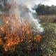 Alerta roja por riesgo de incendios forestales en todos los municipios de La Guajira