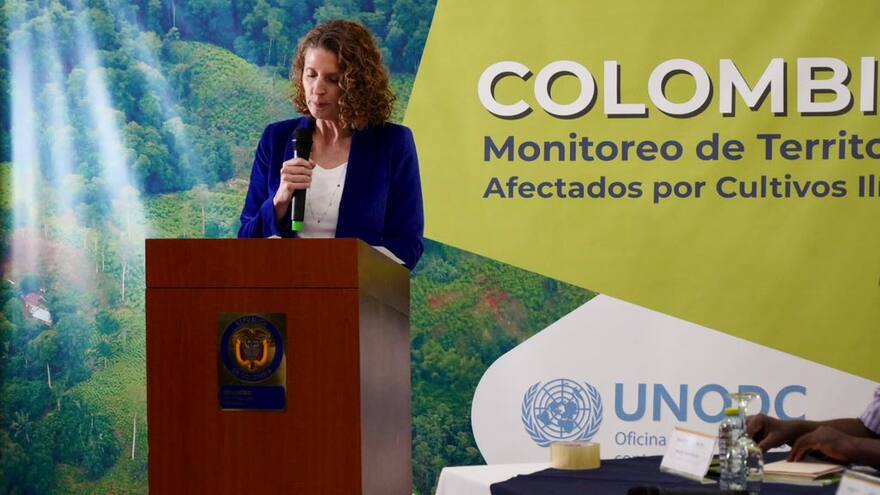 Cultivos de coca alcanzaron niveles históricos en el país: 204.000 hectáreas en 2021