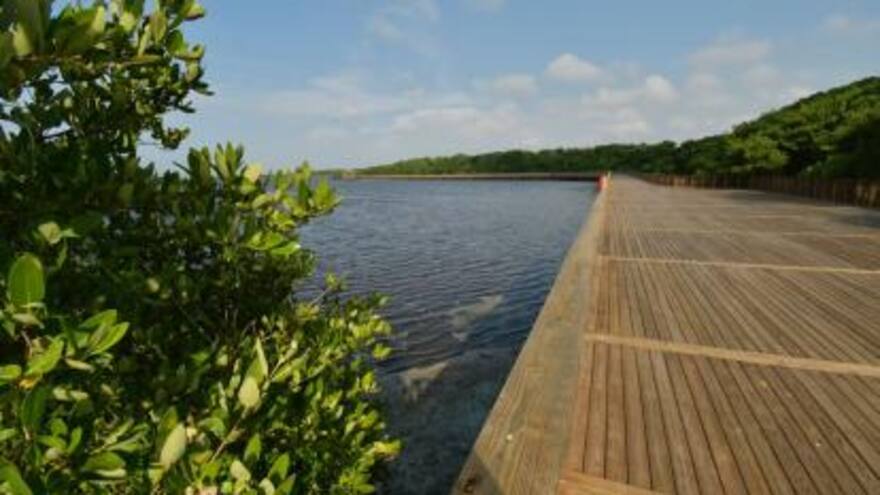 Realizan jornada de limpieza en Ecoparque Ciénaga de Mallorquín este sábado