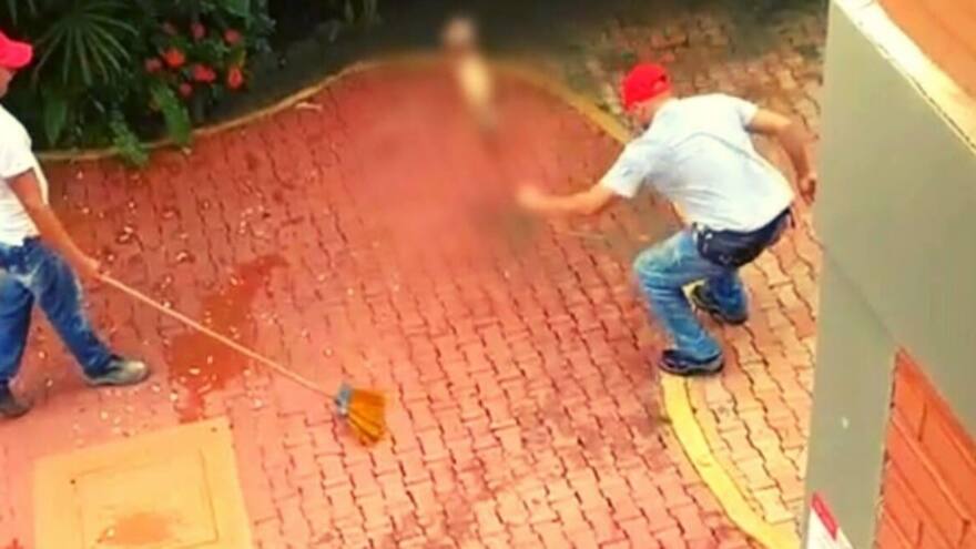 Montería: dos empleados de la Unisinú son procesados por sacrificar una zarigüeya