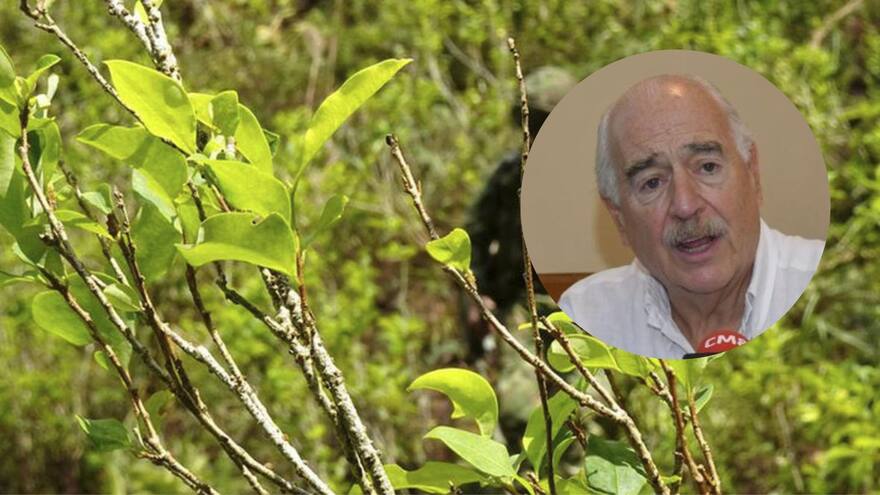 'Colombia es un mar de coca', le advierte Pastrana a Biden