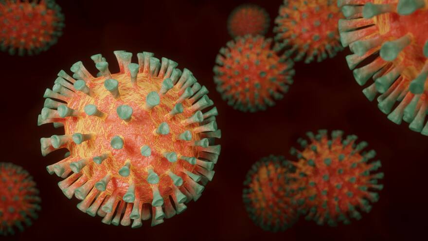 Henipavirus: Qué es y cuáles son los síntomas del nuevo virus que preocupa a China