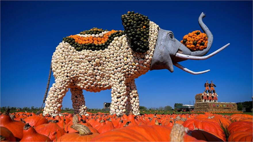 Alemania celebra el Festival de calabazas con grandes esculturas