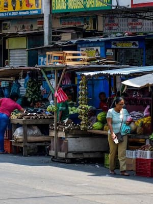 ¿Quiénes son los informales?