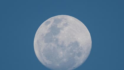La Superluna de noviembre: cuándo y dónde se verá el fenómeno astronómico