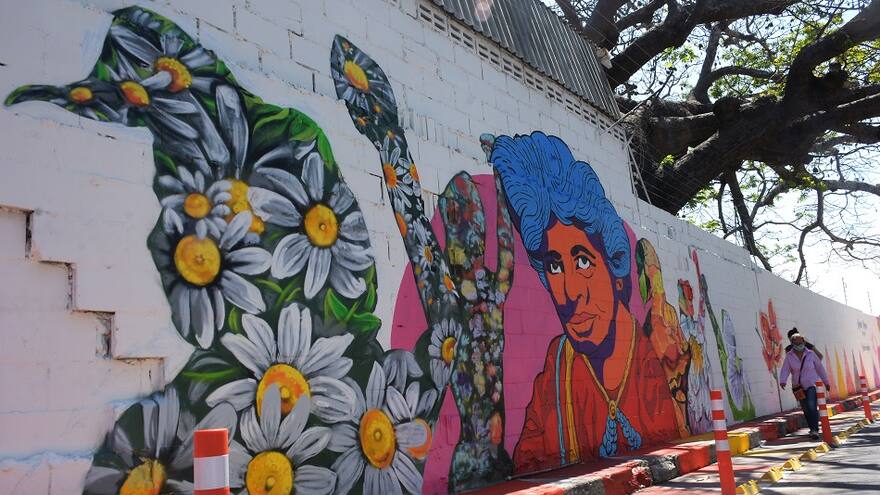 Ojos de Marvel, Esthercita y Meira ‘vigilan’ tramo de la calle 50