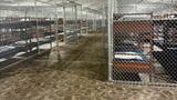 Demandan al Gobierno de Trump por limitar asesoría legal a migrantes en Alligator Alcatraz