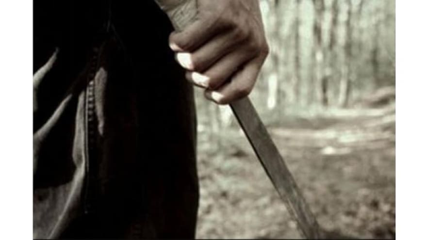 Adolescente asesina a otro a machetazos en Manatí