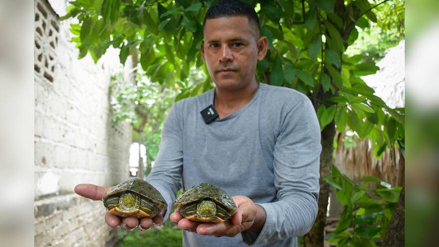 José Salas, un héroe anónimo que preserva hicoteas del Embalse del Guájaro