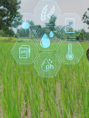 Industrializar el campo | Columna de Indalecio Dangond