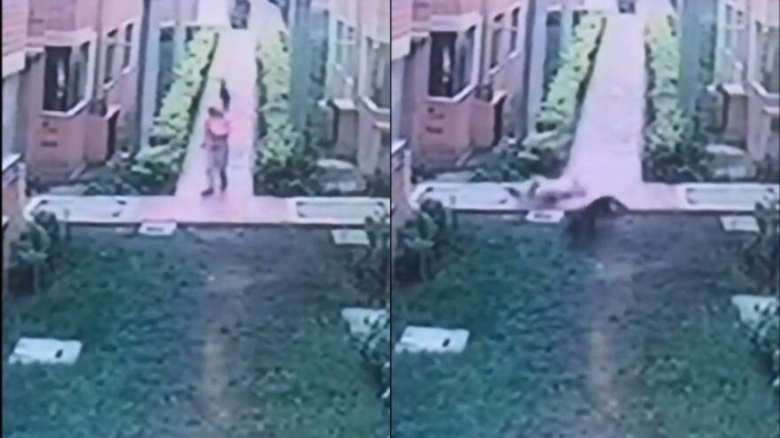 Adulta mayor quedó gravemente herida tras ser embestida por un perro