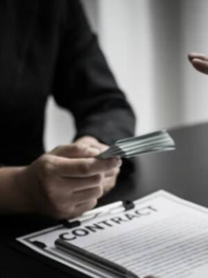 Los elefantes blancos del Contralor| columna de Francisco Cuello Duarte